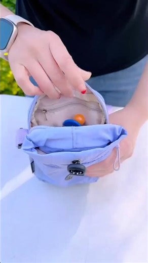 This Mini Bag Holds EVERYTHING?! 😳