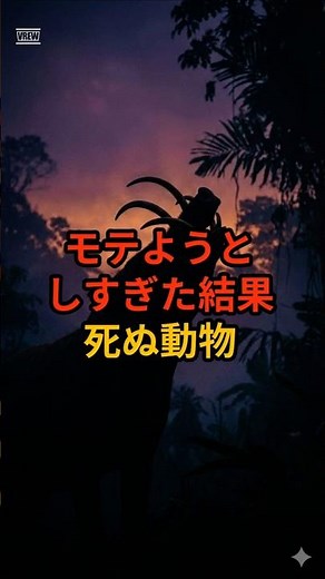 モテようとし過ぎた結果死んでしまう動物 それがバビルサ #動物 #雑学 #豆知識