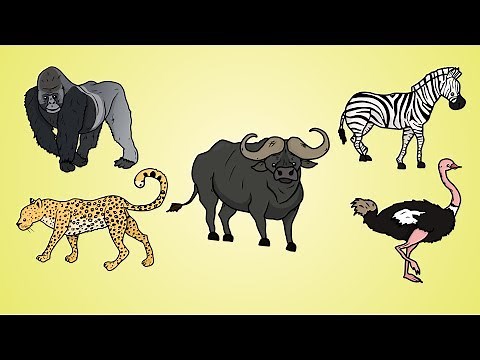 Draw Five: How to Draw African Animals 2