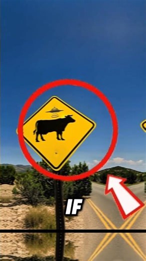 This Road Sign Shows a UFO Stealing a Cow… Here’s Why 👽🐄