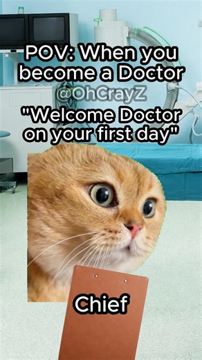 CAT MEMES 🐱 WHEN YOU BECOME A DOCTOR #relatable #cat #funny #doctor #shorts