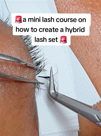 a mini tutorial on how to create a hybrid set for my uo coming classes Durban 25th March for advances lash course march 30-2 April for beginner lash course in Sandton April in witbank 20th for advances course April 27-30 for beginner lash training for more information contact me on 0794115367 #lashtrainingcoursenz #witbanktiktok #witbanktiktok #lashtrainer #eyelashcoursejoburgs