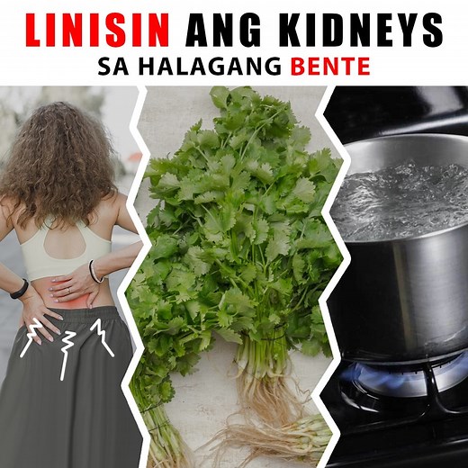 2.2M views · 17K reactions | Linisin ang Kidneys sa Halagang Bente!  Alamin kung Paano Gawin ito  | Organic Living | Facebook