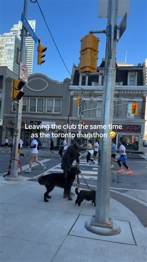 Ultimate walk of shame | comfort zone toronto