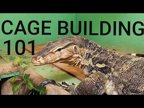 Asian Water Monitor Cage Building 101