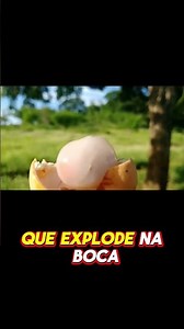 Pitomba: Nature's Little Surprise! #fruits #bizarre #plants #curiosities