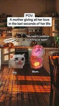 CAT MEMES 🐱A mom giving all her love in the last seconds... #catmemes #relatable #relationship