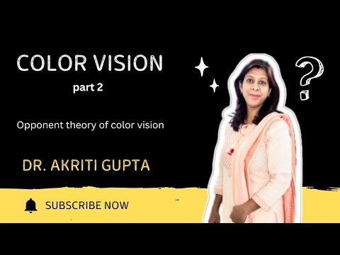 Color vision Part 2 // Opponent theory of color vision // color vision pathway