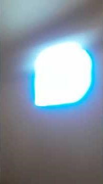 Ada alomani babi monty many pooh