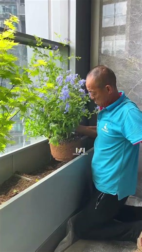 Transform balcony into dopamine garden! #BalconyGarden #BalconyPlanting #BalconyGreenery