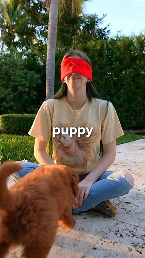 I Surprised My Girlfriend With A Puppy but it’s a prank 😂