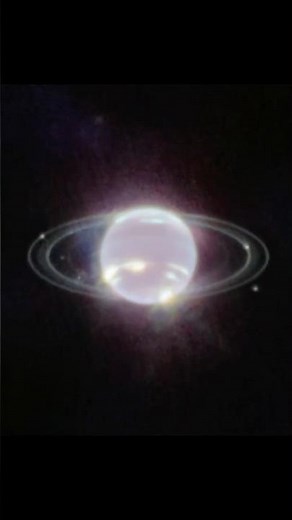 Webb Reveals Neptune’s Rings Like Never Before! #space #science
