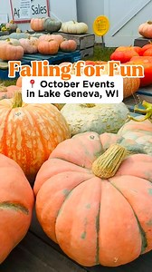 4.8K views · 26 reactions |  October events have arrived! Share this video and tag your friends to start planning the fun! 﫶  Click here for our full calendar of upcoming events: https://bit.ly/3LIR3s3 #OctoberEvents #LocalEvents #LakeGeneva #TravelWI #DiscoverWisconsin | VISIT Lake Geneva | Facebook