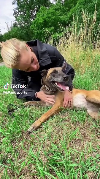 Understanding Malinois Polizeihund: The Ultimate Companion