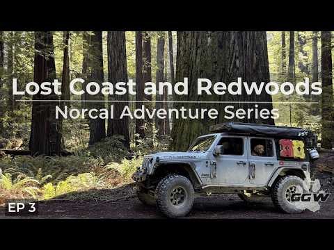 Redwoods & The Lost Coast | NorCal Overland Adventure EP 3