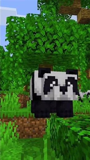 240 Minecraft Facts You Didn't Know!