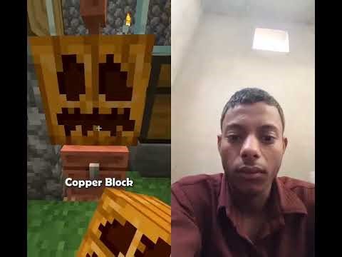 How to Get Invisible Item Frame in Minecraft? 😲