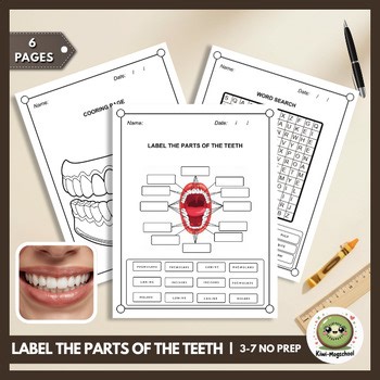 Teeth Parts Labeling Diagram Worksheets | Dental Health & Human Body Unit