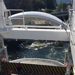 1.7K views · 23 reactions | Close your mouth. #saltspring | Salt Spring Exchange | Facebook