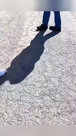 This baby stoat was lucky to meet a couple who saved it after abandoned by its mother #animallover #animalrescue #saveanimals #petrescue | Emma Brooks