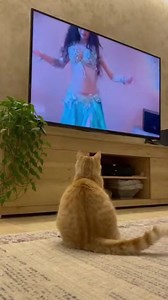 He got the vibe 😆🫶 | Perfect Hugs