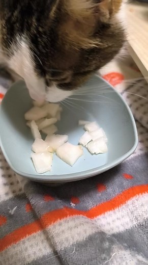 47K views · 630 reactions | Kira, jai eina penkiolikti metai....