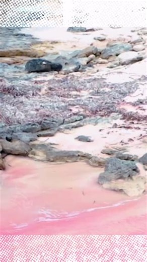 2.7K views · 34 reactions | Stretching pink sand beaches, clear...