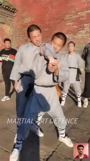 Pets Are Beautiful on Reels