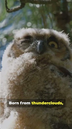 🐾 Almost Real Animals 🐾 Unreal animals that feel real. Official AI Short 🎬 #AlmostReal #AIshorts