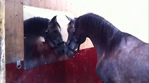 91K views · 324 reactions | Let's see how much you remember from that one time you read the Spark Notes for this book in high school. Let us know what the lie is in the comments  | This is Happening | Facebook