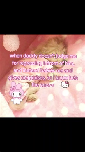 Understanding Pet Regression and Emotional Support