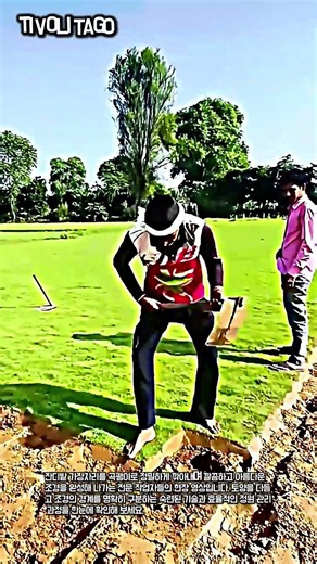 전문 조경사들의 잔디 경계면 정리 작업 현장 #worker #process #landscaping #lawn #garden