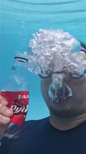 Dali Python vs Dali Royal Bottle Sound Underwater