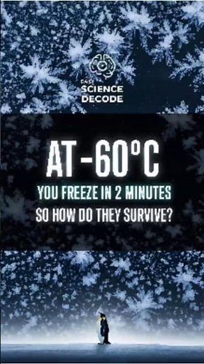 The Impossible Life Of Emperor Penguins #science #wildlife #facts #shorts