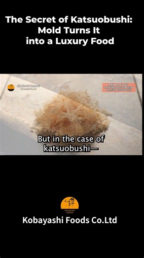 Mold on Food? The Secret Behind Japan’s Deep Umami