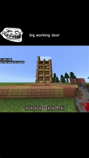 Create a Big Working Door in Minecraft