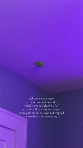 Creative Roach Removal Tips Using Household Items