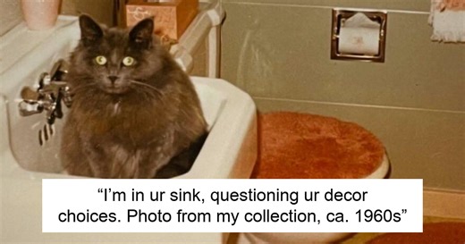 50 Adorable Cat Images From Throughout History That Prove They Were Always The Main Character