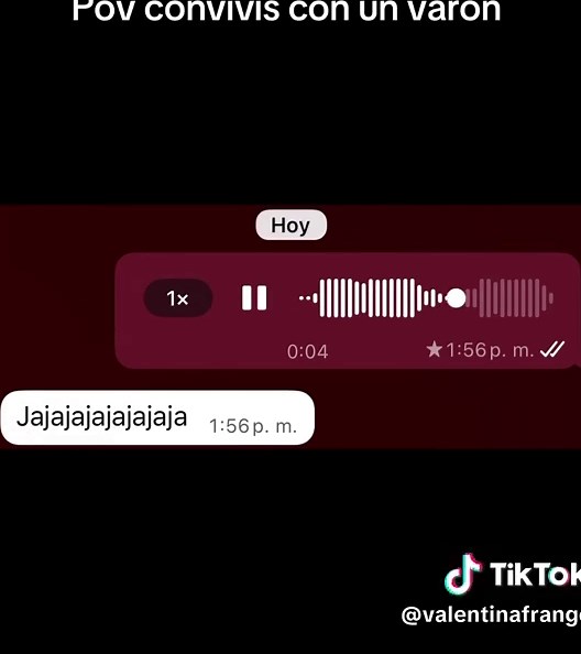 Conviviendo con Shrek: Una experiencia única