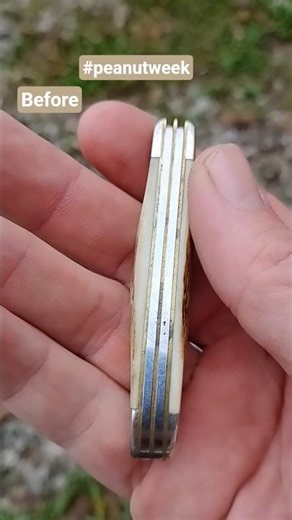 Case Stag Peanut restoration before and after #caseknives #edc