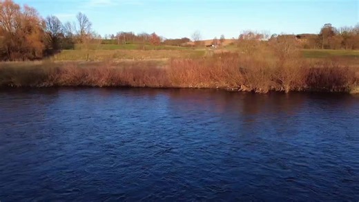 The Return of the Bird: Embracing Inner Strength