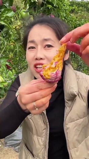Harvesting passion fruit #fruit #natural #satisfying #agriculture #landscape