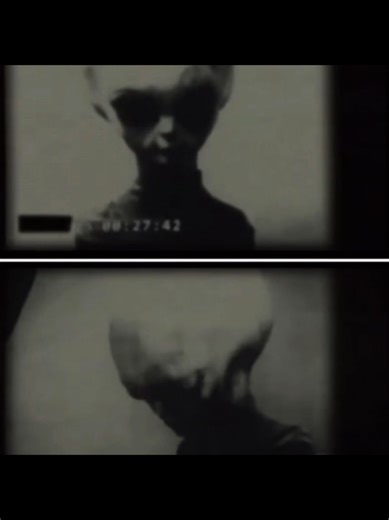 Exploring the Area 51 and Stranger Things Connection