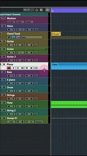 Increase the height of all tracks in Cubase 12 pro