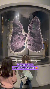 66 reactions · 34 shares |  #PerotMuseum | Perot Museum | Facebook