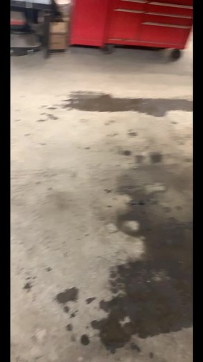 Dealing with Mechanic Problems: What Could Be Wrong?