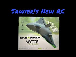 Sky Viper Vector - Review