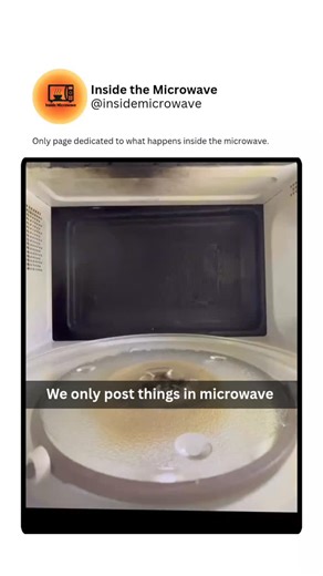Inside the Microwave on Instagram: "What should we post next? Comment below. The microwave becomes a stage for electrifying reactions, glowing plasma, and bubbling transformations. Ordinary items face intense heat and unleash unbelievable moments. Follow to catch every crazy experiment and viral reaction."