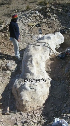 The Lost Giant of Patagonia 🦕