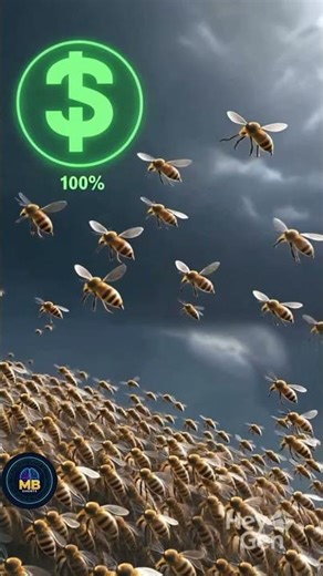 The "Swarm" Protocol: How 50,000 Bees Think 🐝🧠 #viral #shorts #bees